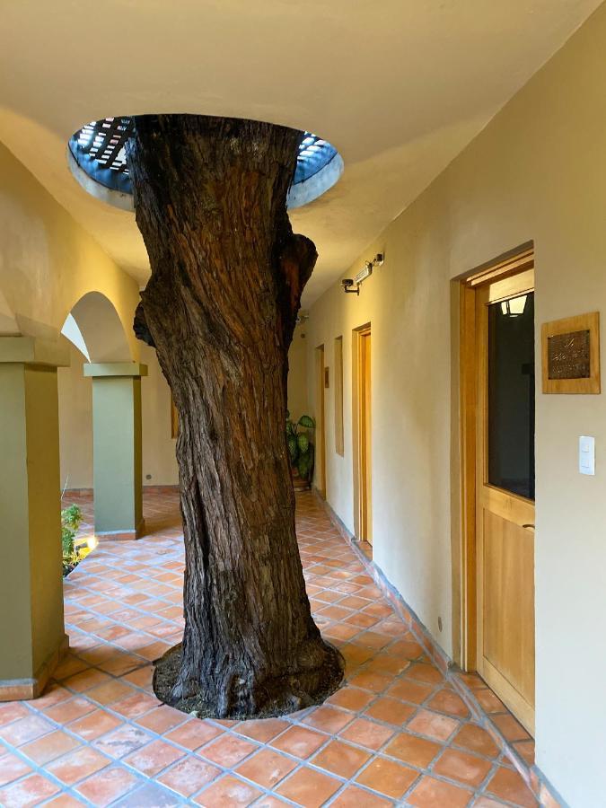 Casa Nare Adults Only Hotel San Miguel de Allende Eksteriør billede